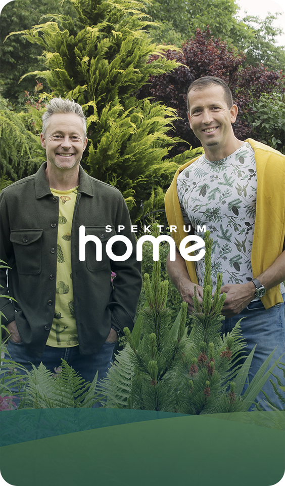 Ajánlott csatornák: home